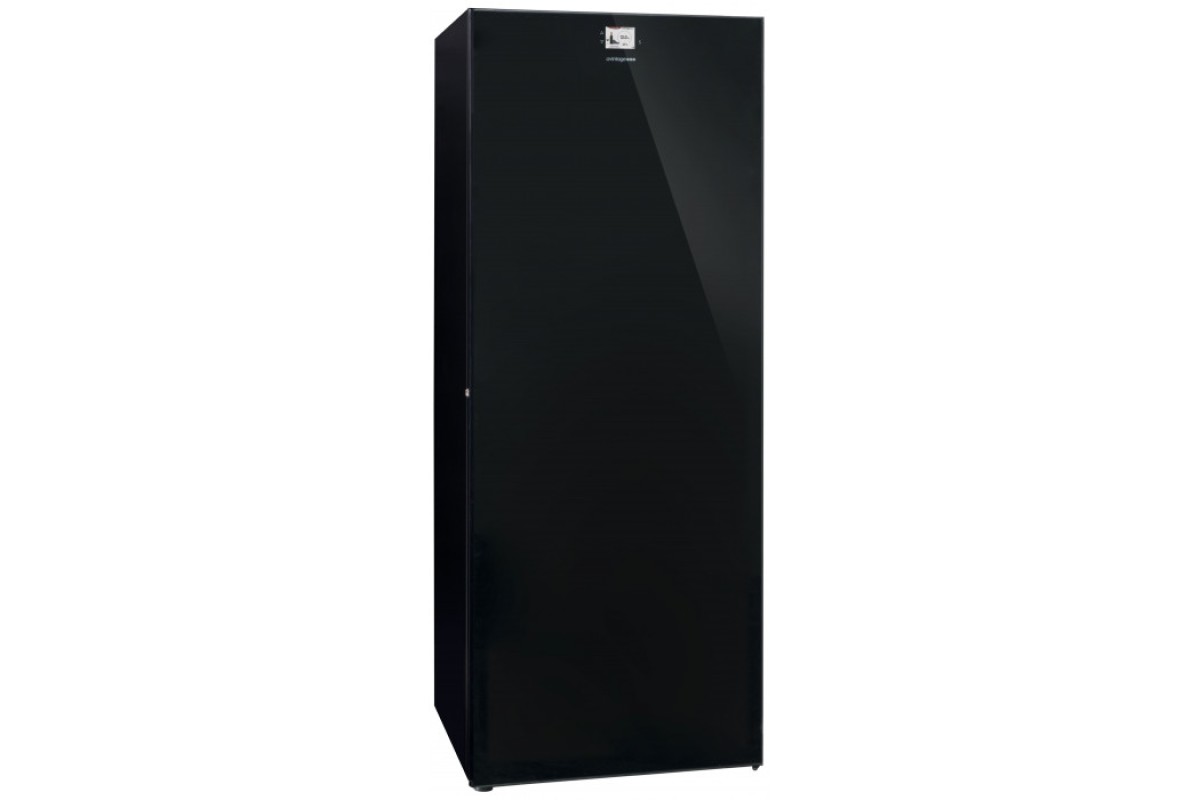 Монотемпературный винный шкаф Avintage DVA305PA+