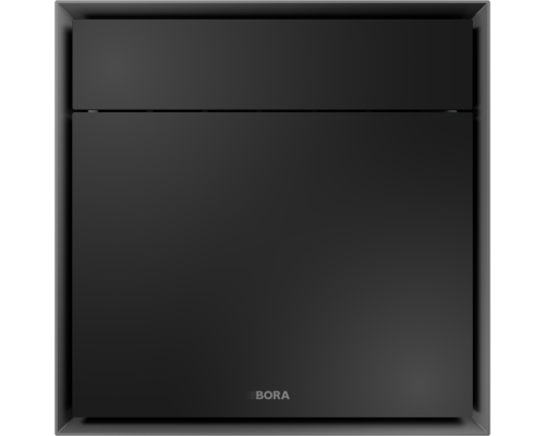 Духовой шкаф со встроенной пароваркой Bora XBO