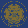Электрическая варочная панель Kaiser KCT 6723 FI BluBE