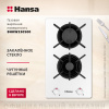 Газовая панель Hansa BHKW330500