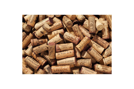 Винный шкаф Caso WineComfort 1800 Smart
