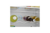 Холодильник Scandilux R 711 EZ 12 W