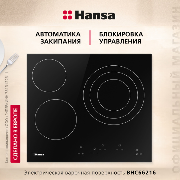 Электрическая панель Hansa BHC66216
