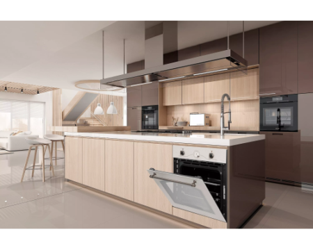Электрический духовой шкаф Delonghi CM 6 BA