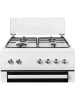 Газовая плита NORDFROST GG 6061 W