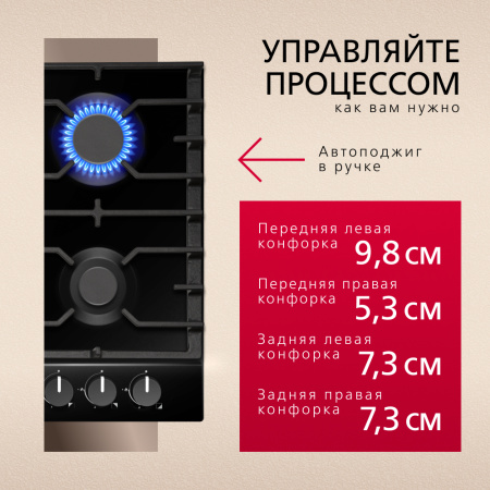 Газовая панель Hansa BHGS630301