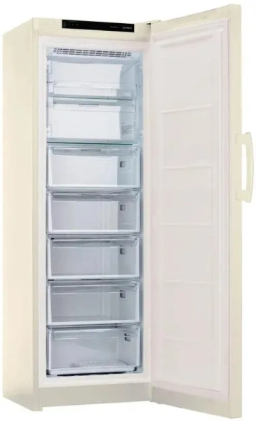 Морозильная камера Indesit DFZ 5175 E