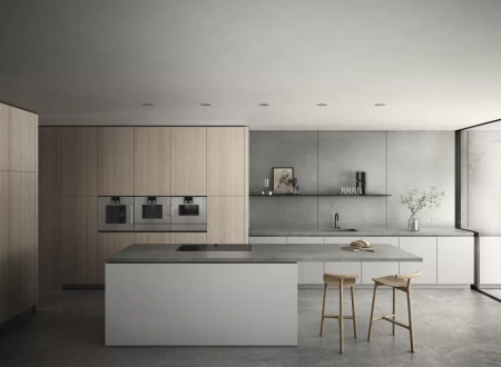 Духовой шкаф - пароварка Gaggenau BSP251111