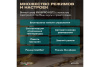 Винный шкаф Meyvel MV77PRO-KBT2 (Спелая вишня)