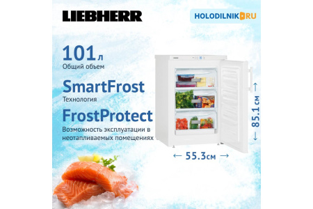 Морозильник Liebherr G 1223-21 FrostProtect
