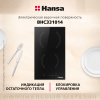Электрическая панель Hansa BHC331014