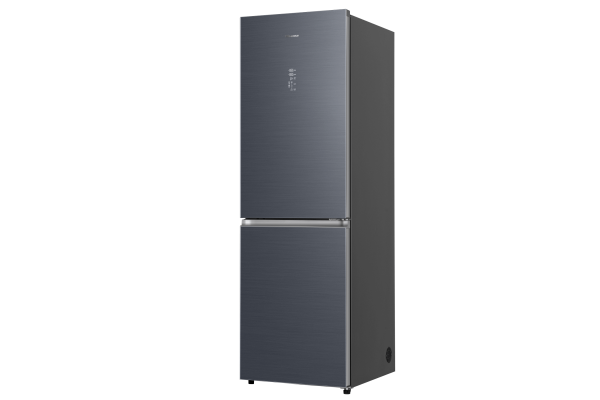 Холодильник Hisense RB5P405NAQ1