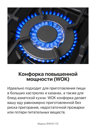 Газовая панель Hansa BHKS41135