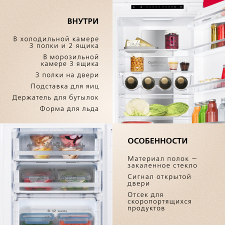 Встраиваемый холодильник Hansa BK305.0DFOC