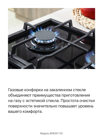 Газовая панель Hansa BHKS41135