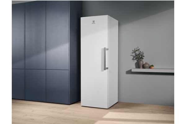 Морозильная камера Electrolux RUT5NF28W1