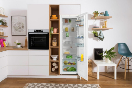 Холодильник Gorenje RI4182E1