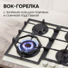 Газовая варочная панель Zigmund & Shtain M 26.6 I
