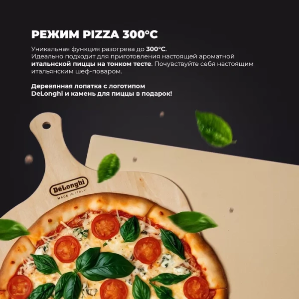 Электрический духовой шкаф DeLonghi NSM 7NL PPP RUS