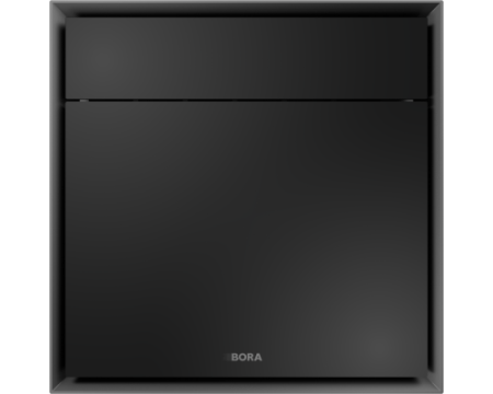 Духовой шкаф со встроенной пароваркой Bora XBO