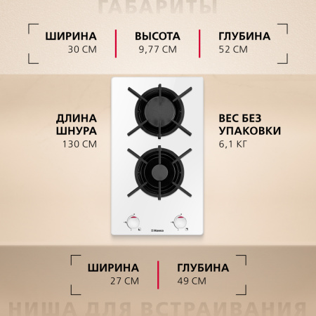 Газовая панель Hansa BHKW310300