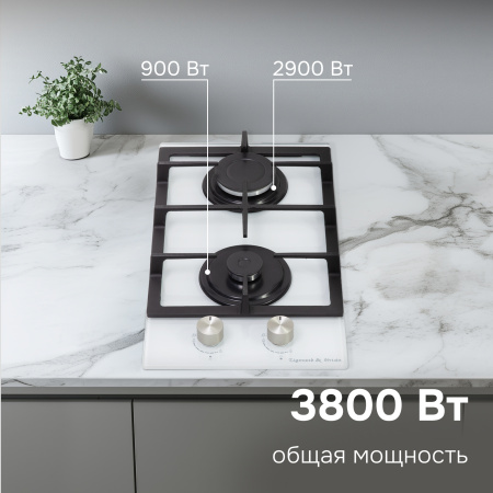 Варочная панель домино Zigmund & Shtain M 26.3 W