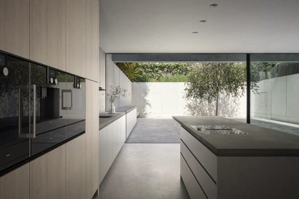 Духовой шкаф - пароварка Gaggenau BSP250101