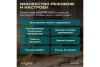 Винный шкаф Meyvel MV77PRO-KBT2 (Итальянский орех)