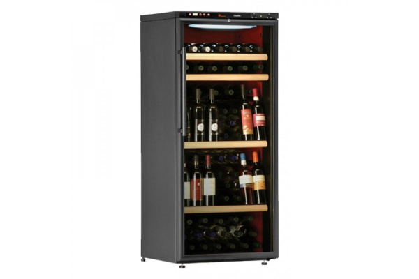 Винный шкаф IP Industrie C 301 CF