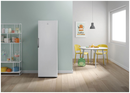Морозильник INDESIT DFZ 5175
