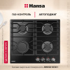Газовая панель Hansa BHKS610301