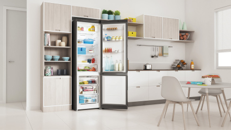 Холодильник Indesit ITR 5200 S
