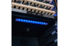 Винный шкаф Meyvel MV99PRO-KBT2 (Итальянский орех)