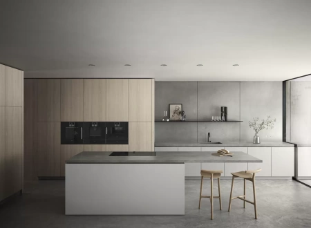 Духовой шкаф - пароварка Gaggenau BSP250101