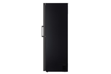 Морозильная камера LG GC-B404FAQM